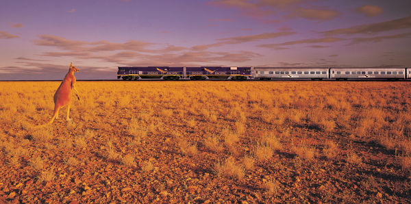 Perth & Margaret River Luxury and rail holiday experience